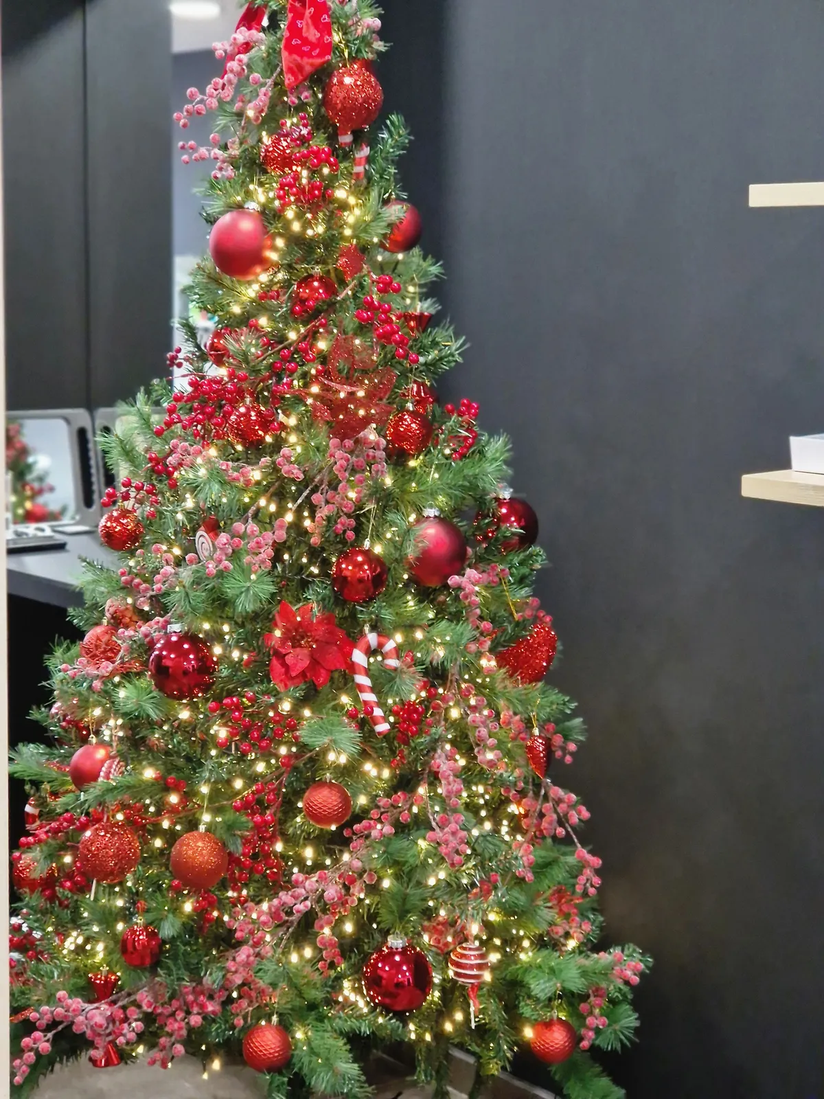 Sapin de Noël décoré et illuminé