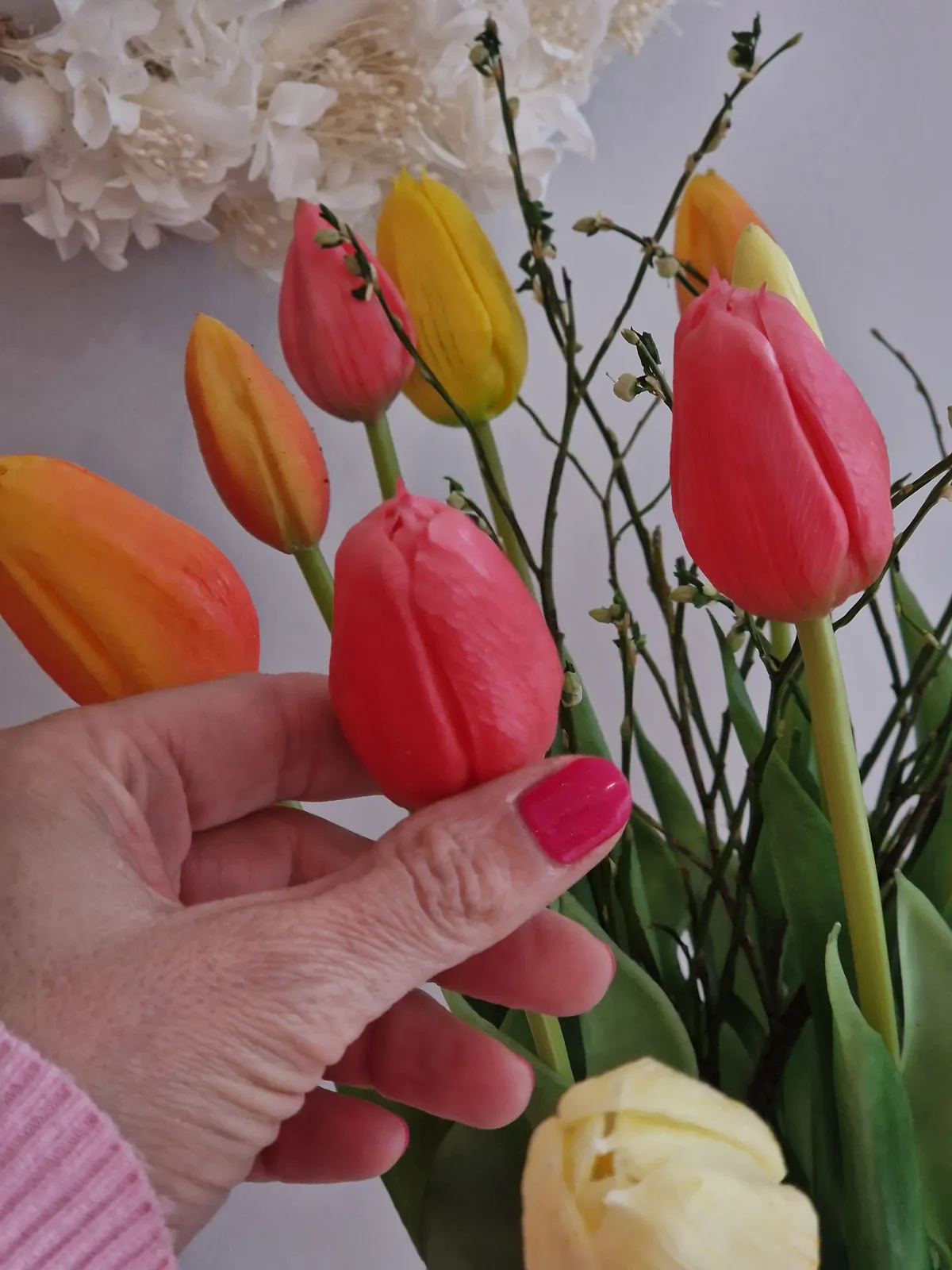 Tulipes printanières aux couleurs vives