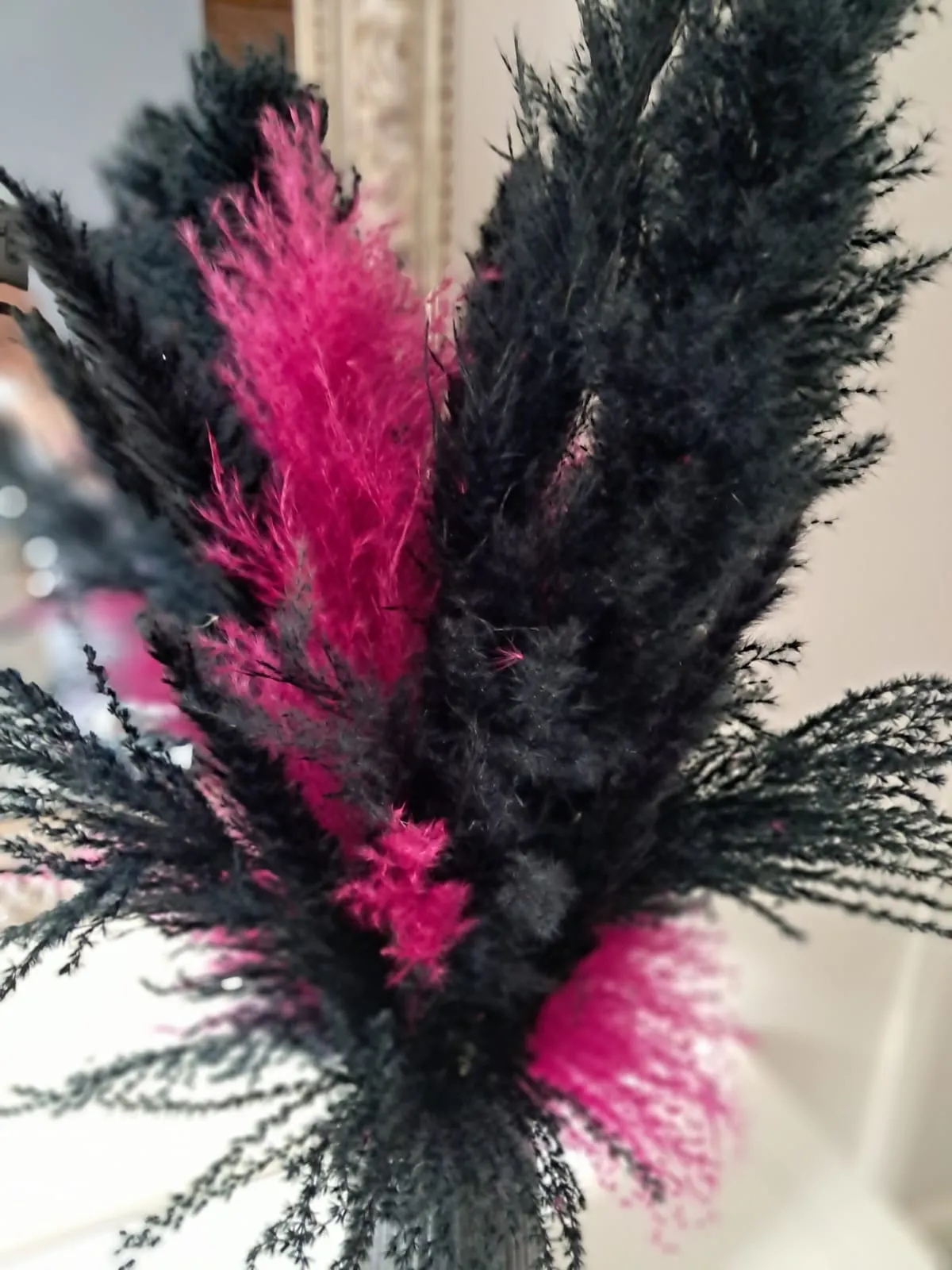 Gros plan pampa noire et fuchsia