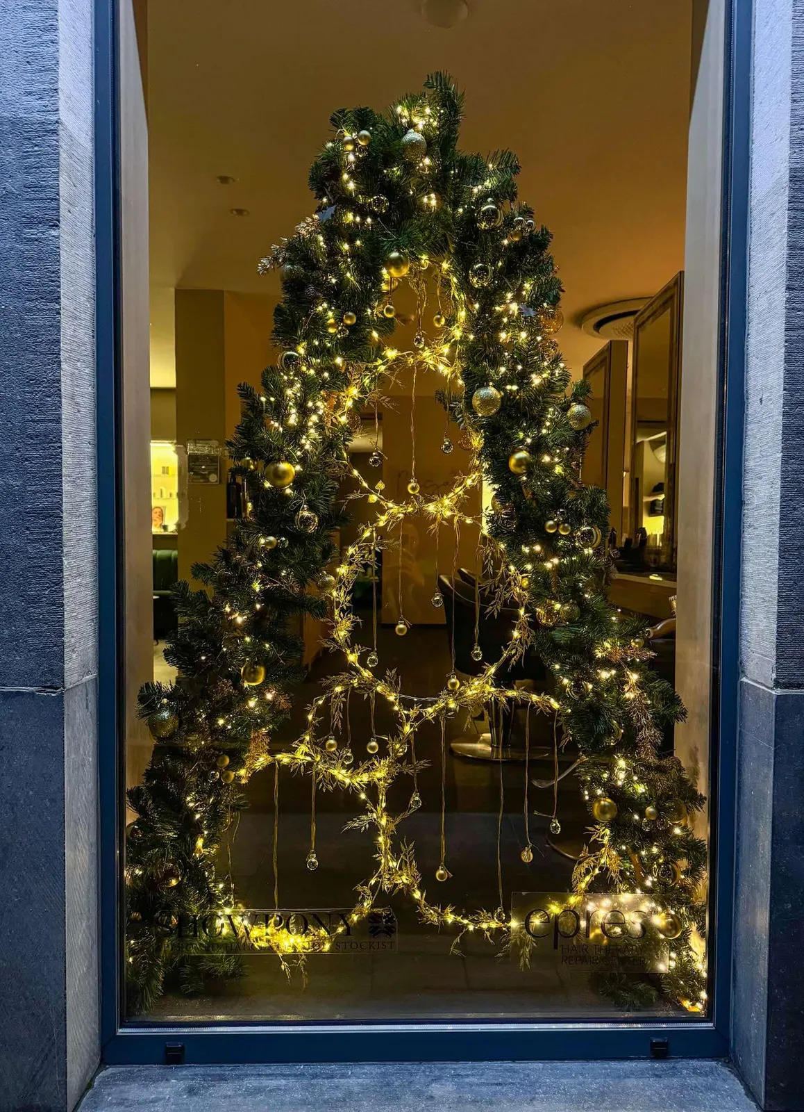 Sapin lumineux en vitrine